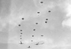 نشاطات عسكرية_6