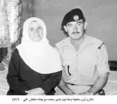 صور آل أرسلان