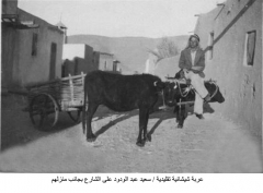 عربة شيشانية_1