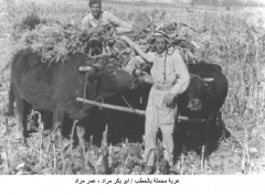 عربة شيشانية