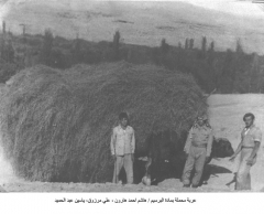 عربة شيشانية