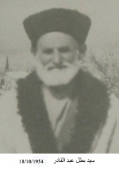 صور المهاجرين