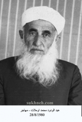 صور المهاجرين