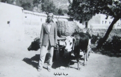 صور بلدة صويلح