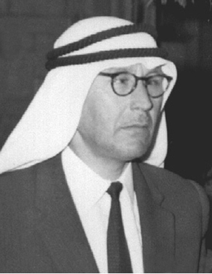 شمس الدين عبد الرازق